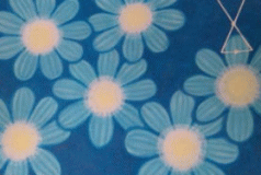 Ｋさん青い花